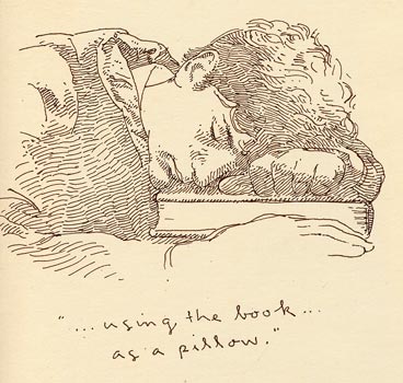 10-sleeping-on-the-book